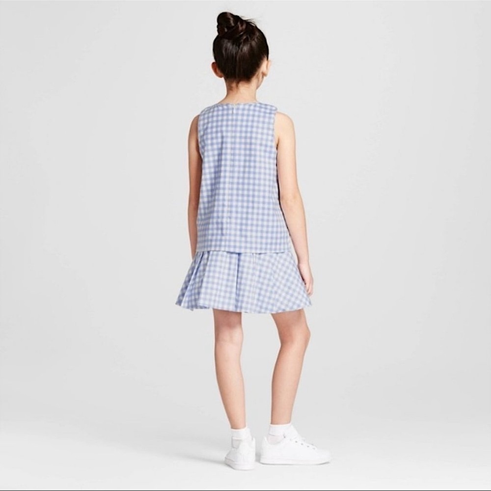 VICTORIA Beckham for Target Blue & White Gingham Dress Drop Waist Lined Size Med - Picture 2 of 11